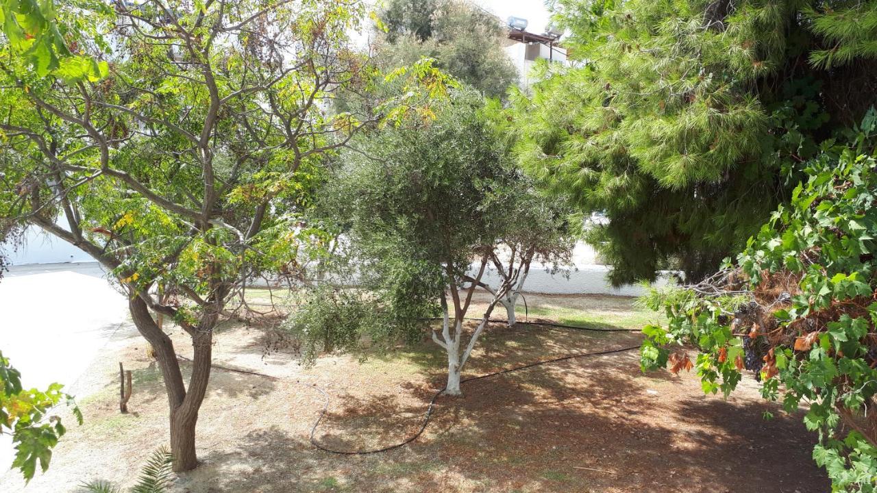 Chrisanthi Studios Agios Prokopios  Bagian luar foto